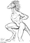  2007 anthro chicken_dance chris_sawyer feathers reptile scales scalie snake tagme 