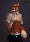  canine clothing fox gender:male katarhein mammal swimming_trunks swimsuit 