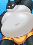  2026 anthro belly big_belly black_body blush bottomwear bulge cetacean clothing dolphin hi_res male mammal marine navel oceanic_dolphin orca overweight overweight_male scar shorts solo swimwear toothed_whale trail_arnak white_body 