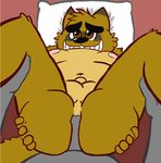  anal anthro bed first_person_view human kounosuke_(morenatsu) male male/male mammal morenatsu nipples overweight penis pillow smile tanuki unknown_artist 