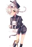  animal animal_on_head blue_eyes blue_legwear gokotai gokotai's_tigers hair_over_one_eye hakusai_ponzu hat kneehighs male_focus military military_uniform necktie on_head shorts tiger tiger_cub touken_ranbu uniform white_hair white_tiger yellow_eyes 