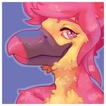  anthro avian beak digital_media_(artwork) headshot_portrait icon looking_at_viewer pink_eyes portrait simple_background smidgefish solo varian_nye 