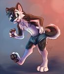  2016 4_toes 5_fingers anthro black_fur black_hair black_nose black_pawpads black_tail boxers_(clothing) brown_eyes bulge canine clothed clothing countershade_tail countershading digital_media_(artwork) digitigrade dog front_view full-length_portrait fur gradient_background hair husky hybrid looking_at_viewer male mammal multicolored_fur on_one_leg one_eye_closed pawpads paws pink_tongue portrait signature simple_background solo standing toes tongue tongue_out toony topless two_tone_fur two_tone_tail underwear v_sign waywardmutt white_fur white_tail wink wolf wusky 