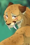 2019 azzai big_fangs blurred_background blush blush_lines brown_ears brown_eyes brown_markings brown_nose colored digital_drawing_(artwork) digital_media_(artwork) fangs felid feral fur inner_ear_fluff looking_away male mammal markings multicolored_body multicolored_fur prehistoric_species rear_view saber-toothed_tiger sabertooth_(anatomy) shaded snout solo spots spotted_body spotted_fur spotted_markings striped_markings stripes tan_body tan_fur teeth tuft whiskers white_whiskers