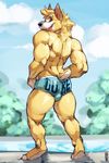  2016 anthro back_muscles biceps black_nose blue_sky brown_eyes bulge butt canine clothed clothing cloud corgi countershade_face countershade_tail day digital_media_(artwork) dog duke_corgi fangs full-length_portrait fur looking_back male mammal multicolored_fur muscular muscular_male mystikfox61 open_mouth outside portrait rear_view short_tail signature sky small_tail solo standing tan_fur tan_tail two_tone_fur two_tone_tail underwear white_fur white_tail 