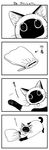 :3 cat collar comic greyscale highres kinchaku monochrome no_humans original pouch siamese_cat translated yamano_rinrin 