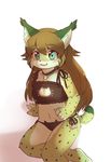  cat_lingerie clothing feline female fur green_fur kemono lingerie lynx mammal sunnynoga yellow_eyes 