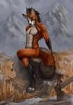  anthro canine fox latex_(artist) male mammal 