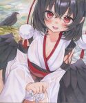  1girl bird bird_wings black_bird black_hair black_wings blush breasts cleavage commentary_request crow detached_sleeves feathered_wings highres japanese_clothes kimono kourindou_tengu_costume large_breasts looking_at_viewer medium_hair moni_monico obi official_alternate_costume open_mouth pom_pom_(clothes) red_eyes red_sash sash shameimaru_aya smile solo touhou traditional_media twitter_username wet wet_clothes white_kimono wings wringing_clothes 
