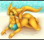  anthro beach big_breasts bikini breasts clothing female huge_breasts kangaroo lipstick looking_at_viewer mammal marsupial mixideer outside seaside solo swimsuit watermark wide_hips xxmteexx 