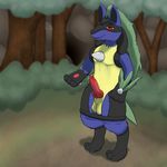  2016 animal_genitalia animal_penis anthro balls black_fur blue_fur blush canine canine_penis cave clearing clothed clothing digital_media_(artwork) erection fan_character fangs firebadger forest fur grass grovyle hair hi_res hybrid knot looking_at_viewer lucario lucaryvle male mammal nintendo nude open_mouth outside pants_down partially_clothed penis pok&eacute;mon presenting presenting_penis red_eyes smile solo standing teeth tree video_games watermark yellow_fur 