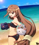  angry ass baron_(baron-eros) beach bikini brown_eyes brown_hair cat day flat_chest gloves highres image_sample lens_flare long_hair looking_back md5_mismatch ookami-san ookami_ryouko pixiv_sample solo swimsuit very_long_hair 