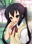  black_hair brown_eyes k-on! long_hair nakano_azusa neck_ribbon red_ribbon ribbon ryunnu school_uniform solo twintails 