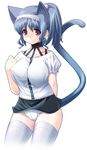  animal_ears blue_hair cat_ears cat_tail nekomimi panchira panties red_eyes tail thigh_highs thighhighs underwear 