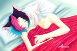  animal_ears black_hair blue_hair cat_ears grey_hair male male_focus naked nekomimi nude pink_hair purple_hair silver_hair sleeping sythzia_canas white_hair 