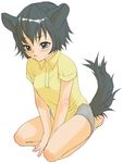  animal_ears black_eyes black_hair copyright_request dog_ears inuburo lowres short_hair sitting solo tail 