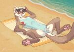 absurd_res animal_genitalia animal_vulva anthro arcticos beach beverage brown_body brown_fur camel_toe canine_genitalia canine_vulva clothing domestic_ferret eyelashes eyewear female fur genital_outline genitals half-closed_eyes hi_res inner_ear_fluff lemonade lying mammal mustelid musteline narrowed_eyes on_back pawpads paws red_eyes sand sea smile smirk solo spread_legs spreading sunglasses swimwear true_musteline tuft vulva vulva_outline water weasel white_body white_fur 