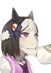  2girls animal_ears blue_jacket bow braid brown_hair collared_shirt commentary_request ear_bow grass_wonder_(stone-piercing_blue)_(umamusume) grass_wonder_(umamusume) half_up_braid hand_on_another's_chin horse_ears horse_girl jacket long_sleeves mohe_er~ multicolored_hair multiple_girls purple_bow purple_eyes purple_ribbon purple_vest ribbon shirt short_hair solo_focus special_week_(special_dreamer)_(umamusume) special_week_(umamusume) two-tone_hair umamusume vest white_hair 