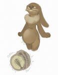  all_three_filled anal anal_beads anal_penetration anthro bladder_bulge bladder_plug blocked_peeing bodily_fluids brown_body brown_fur curse desperation drooping_ears female fur genital_fluids hare hi_res implied_permanent kinkyanon lagomorph leporid mammal object_in_ass oral oral_penetration orgasm_denial orgasm_denial_curse pee_desperation penetration permanent permanent_full_bladder permanent_orgasm_denial rabbit sex_toy sex_toy_in_ass sex_toy_in_urethra sex_toy_in_vagina sex_toy_insertion shaking shivering simple_background solo urethral urethral_penetration urine vaginal vaginal_penetration vibrator vibrator_in_ass vibrator_in_urethra vibrator_in_vagina watersports white_background 