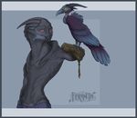  alien avian beak bird blue_beak blue_clothing blue_feathers caerul clothed clothing colored fan_character feathers feral feranta front_view gloves grey_clothing light looking_at_viewer male mass_effect no_pupils not_furry pants pet pinup pose purple_feathers red_eyes shaded signature slim standing tail_feathers toony topless turian two_tone_feathers video_games vulture yellow_eyes 
