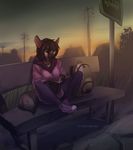  anthro black_hair black_nose clothed clothing detailed_background ear_piercing female hair hyena koul mammal outside piercing sitting sky smile solo twilight 