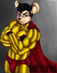 blackbear costume hat male mammal mighty_mouse mouse muscular rodent smile solo spandex superhero 
