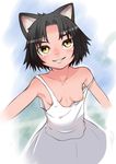  animal_ears black_hair breasts cat_ears dress j7w kurona_(neko_musume_michikusa_nikki) neko_musume_michikusa_nikki nipples short_hair small_breasts smile solo strap_slip yellow_eyes 