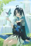  1girl absurdres ahoge bird black_dress black_hair blue_bird blue_eyes blue_hair blue_sky blurry blurry_background breasts colored_inner_hair commentary_request day dress grey_jacket hand_up highres jacket long_sleeves medium_breasts mori141009 multicolored_hair outdoors parted_bangs parted_lips sitting sky solo tacet_mark_(wuthering_waves) wuthering_waves yangyang_(wuthering_waves) yangyang_(xuanling)_(wuthering_waves) 