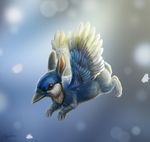  2016 ambiguous_gender avian beak bird blue_feathers blue_jay corvid eosfoxx feathers feral flying gryphon lagomorph mammal rabbit solo wings 