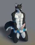 2016 abs anthro balls black_fur boxers_(clothing) canine chest_tuft clothing erection flusky fur homogenousrule kneeling knot looking_at_viewer male mammal mostly_nude navel penis pink_penis simple_background smile solo tuft underwear whiskers white_fur wolf 