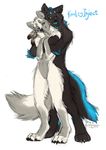  4_toes 5_fingers anthro black_fur black_nose blue_eyes blue_fur blue_nose blue_tongue canine digitigrade female fur koul male mammal open_mouth simple_background solo standing teeth toes white_background white_fur wolf 
