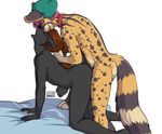  2016 all_fours anthro bed duo eyes_closed feline female from_behind_position fur genet grey_fur hair hat male male/female mammal mistystriker nude orange_hair panther penetration pink_hair raised_tail sex viverrid 