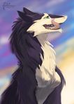  black_fur blue_eyes day eyelash female fur koul nude open_mouth outside sergal sky solo teeth tongue white_fur 