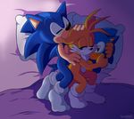  2016 absurd_res anthro blush canine cute doll duo fox hedgehog hi_res hug male mammal miles_prower senshion smile sonic_(series) sonic_the_hedgehog 