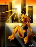  2014 amber-wind anthro canine city clothing digital_drawing_(artwork) digital_media_(artwork) female fox fur furrytiger_2012 gold_fur invalid_tag mammal purple_eyes rays shorts solo sunset 