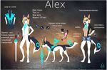  anthro by_dream canine clothed clothing female mammal melee_weapon model_sheet multiple_images nude russian_text solo standing sword text weapon 