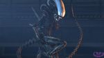  2016 3d_(artwork) alien alien_(franchise) anthro areola big_breasts breasts creepychimera digital_media_(artwork) erect_nipples female hi_res huge_breasts nipples nude xenomorph 