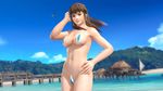  1girl 3d beach bikini breasts brown_hair dead_or_alive dead_or_alive_xtreme_3_fortune dead_or_alive_xtreme_beach_volleyball female hitomi_(doa) large_breasts long_hair nature ocean official_art outdoors plant sky solo swimsuit tecmo 