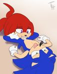  2016 anthro cum cum_in_mouth cum_inside duo echidna erection fellatio hedgehog knuckles_the_echidna male male/male mammal monotreme oral penis sex sonic_(series) sonic_the_hedgehog the_other_half 