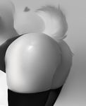  &lt;3 animal_tail arched_back butt close-up clothing f-r95 falla feline legwear mammal monochrome raised_tail saber-toothed_cat shiny solo thigh_highs 