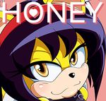  2016 animated anthro cat feline female honey_the_cat hyoumaru mammal solo sonic_(series) 