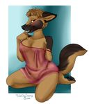  2016 anthro breasts brown_eyes brown_fur canine clothed clothing dog female fur german_shepherd hair looking_at_viewer mammal oli_snowpaw pussy simple_background solo underwear 