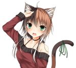  ahoge animal_ear_fluff animal_ears arm_up bangs blush brown_hair cat_ears cat_tail collarbone commentary_request green_eyes green_ribbon hair_ornament hairclip highres long_sleeves looking_at_viewer mage_(335656) mischa_(mage_(335656)) multicolored_hair off_shoulder open_mouth original ribbon short_hair_with_long_locks solo tail tail_ribbon transparent_background two-tone_hair upper_body 