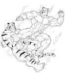  anthro balls bear erection feline male male/male mammal maxima muscular nipples penis sketch tiger 