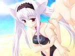  animal_ears bikini blush blushing cat_ears catgirl long_hair nekomimi rin_fujimiya swimsuit yokubari_saboten 