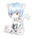  animal_ears ayanami_rei blue_hair cat_ears eva gainax gloves nekomimi neon_genesis_evangelion nge plug_suit plugsuit red_eyes rei_ayanami short_hair 