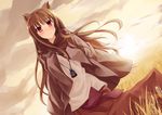  animal_ears blush brown_hair dutch_angle field holo long_hair mori_girl pino_(birthdayparty) red_eyes smile solo spice_and_wolf wheat wolf_ears 