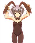  animal_ears bangs bunny_ears bunnysuit cea_se nagato_yuki pantyhose short_hair solo suzumiya_haruhi_no_yuuutsu 