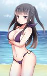  bangs beach bikini black_hair blunt_bangs blush breast_hold breasts cleavage crossed_arms day fire_emblem fire_emblem_if highres large_breasts long_hair looking_at_viewer navel o-ring o-ring_bottom ocean purple_bikini shira_yu_ki solo swimsuit syalla_(fire_emblem_if) two_side_up 