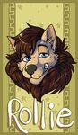  anthro canine fur hair looking_at_viewer male mammal mane rorr smile solo teeth 